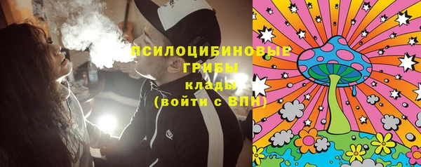 ГАЛЛЮЦИНОГЕННЫЕ ГРИБЫ Осташков